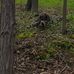 David Terpstra - Facebook