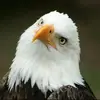 davidterrace916 - @davidterrace916 - TikTok