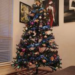 David Testa - @semiasian - Instagram