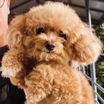 David Tey - @the_ravedave - Instagram