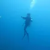 David Tey - @davidtey5 - TikTok