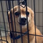 David Thach - @dvdthach - Instagram