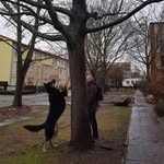 David Junge - @davidthenewbie - Instagram