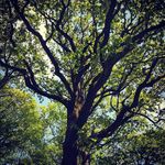 david thiel - @thiel830 - Instagram