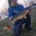 David Thiel - @thiel1629 - Instagram
