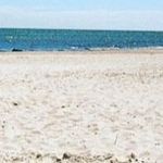 David - @_davidthieme_ - Instagram