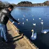 Thiềm David. Nguyễn - @thiemdavid9094 - TikTok