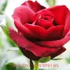 Davidthien2404 - @davidthien2404 - TikTok