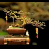 davidthien532 - @davidthien532 - TikTok