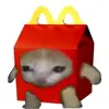 I'm Davidthememes on roblox - @davidthememes - TikTok