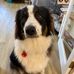 David Thirtle - Facebook