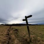 David Thirtle - @thirtled42 - Instagram