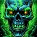 David Turtle - Facebook