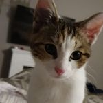 David Thomé - @david.thome.7927 - Instagram