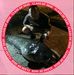 David Thong - Facebook