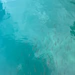 David Thoreau - @david_thoreau_ - Instagram