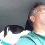 David Thornberry - @dthornberrybigdog - Instagram