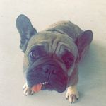 David Thoroughgood - @davidthoroughgood - Instagram