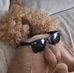 David Thoroughgood - Facebook