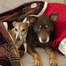 David Threadgill - Facebook