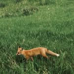David Threadgold - @david.threadgold - Instagram