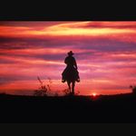 David Threatt - @gamecock_boy_06 - Instagram
