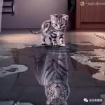 David_three - @daivi7365 - Instagram