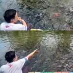 Davidthree Budi - @davidthree_budi - Instagram