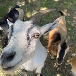 David Throckmorton - @throckmorton392 - Instagram