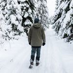 David Throgmorton - @david_throgmorton - Instagram