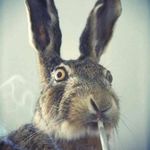 David Thurber - @david.thurber.99 - Instagram