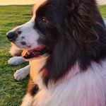 David Thurlow - @__dave__t - Instagram