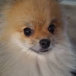 David Thursby - @david.thursby - Instagram