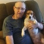 David Tibbs - @tibbsdavid - Instagram
