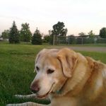 David Tibbs - @happymons1 - Instagram