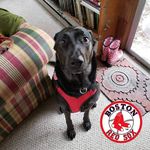 David Tibbs - @dbt281 - Instagram