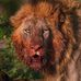 J David Tibbs - Facebook