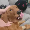 David Tiemann - @davidtiemann - TikTok