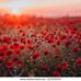 David Tilford - Facebook