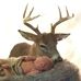 Dave Timms - Facebook
