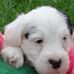 David Listerton Timms - Facebook