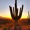 shawneeboydavidTinney21 - @shawneeboydavidtinney21 - TikTok