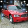 davidtipton292 - @davidtipton292 - TikTok