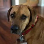 David Tittle - @davidt6153l - Instagram