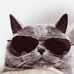 Dawid Tomczyk - Facebook