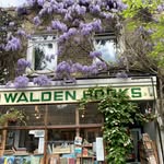 David Tobin - @walden_books_london_nw1 - Instagram