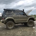 David Tolhurst - @davidtolhurst - Instagram