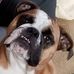 David Tomkins - Facebook