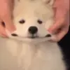 David Tony - @david.tony29 - TikTok