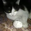 @user David topală - @davidtopala - TikTok